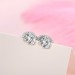 Personalized Pet Photo Stud Earrings in Silver